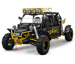 County imports 1000cc BMS 4 seater go kart free shipping to your door