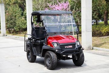 LINHAI BIG HORN 200cc GVX UTV www.countyimports.com